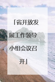 省开放发展工作领导小组会议召开